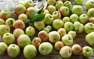 apple-crop