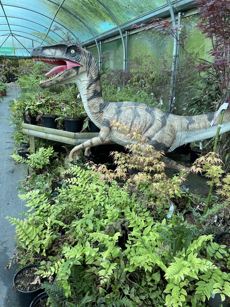 Shade plants with dinosaur