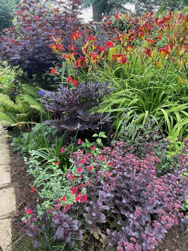 Red border planting