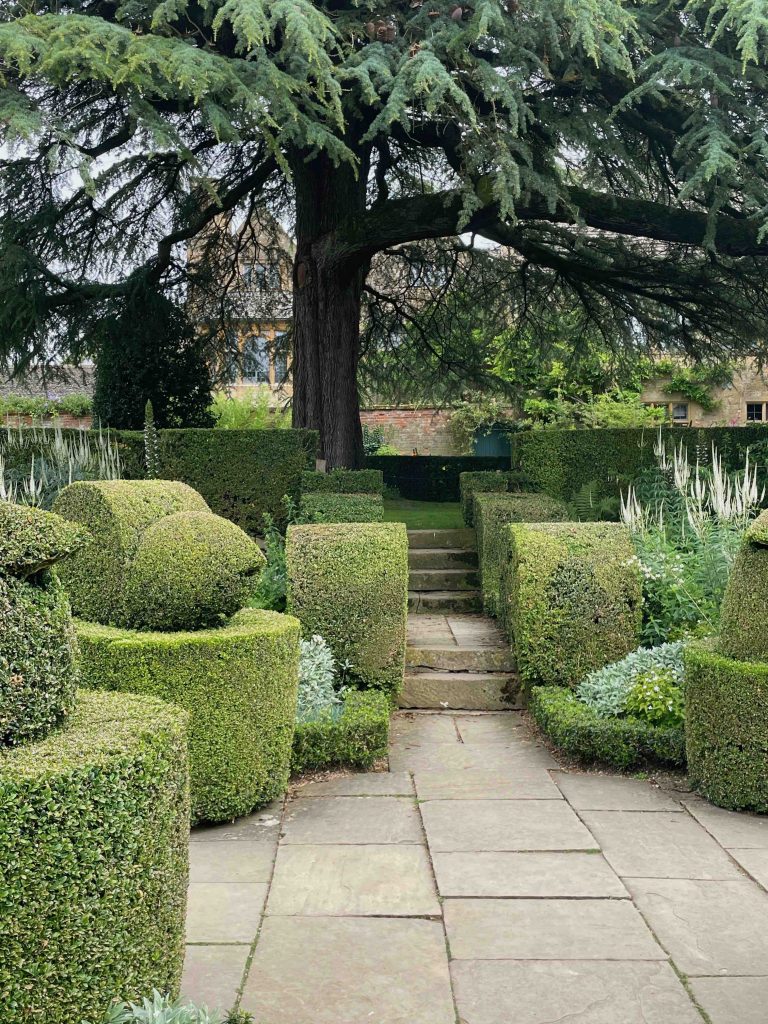 Topiary in the white garden