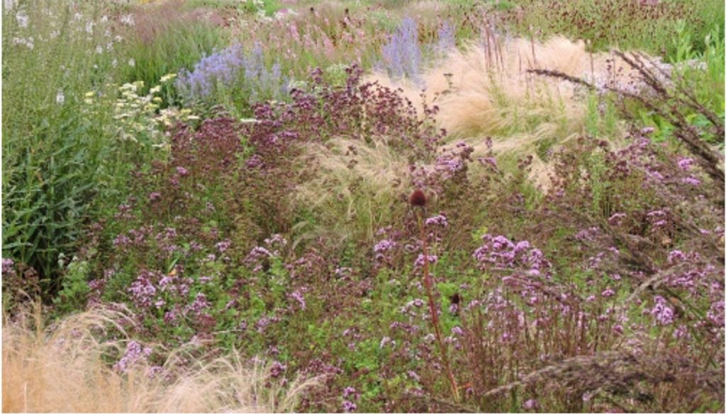 A prairie garden