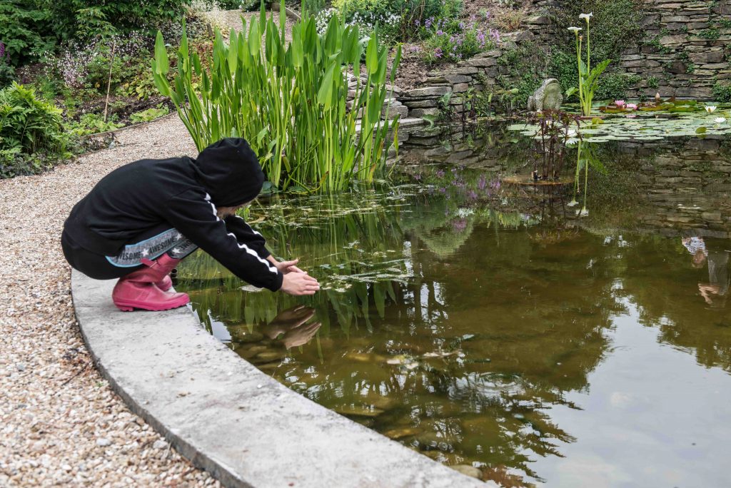 Newt Hunting