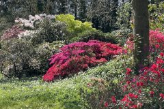 A cornish garden